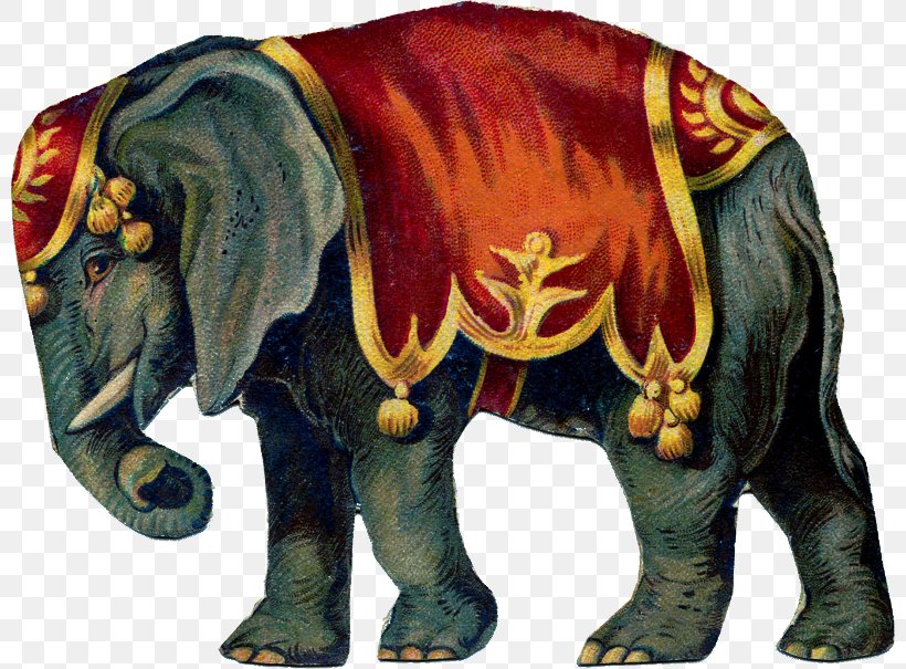 Circus Elephantidae Clip Art, PNG, 800x605px, Circus, African Elephant, Art, Carnival, Cattle Like Mammal Download Free