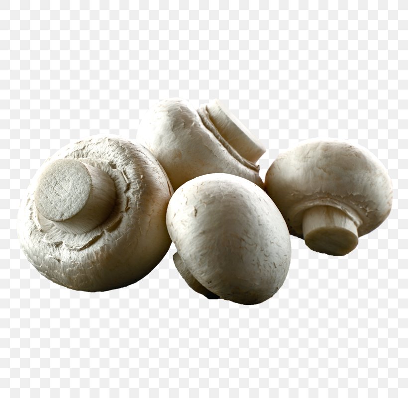 Common Mushroom Edible Mushroom Shiitake Oyster Mushroom, PNG, 800x800px, Common Mushroom, Agaricaceae, Agaricomycetes, Agaricus, Bunapishimeji Download Free