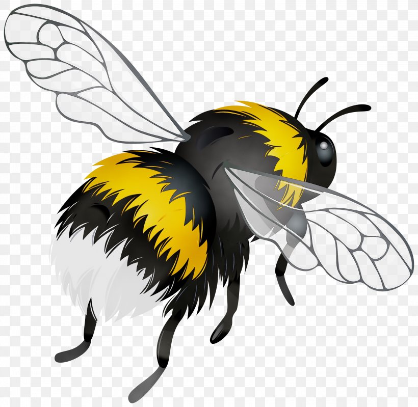 Bee Background, PNG, 3000x2924px, Watercolor, Arthropod, Bee, Bumblebee, Carpenter Bee Download Free