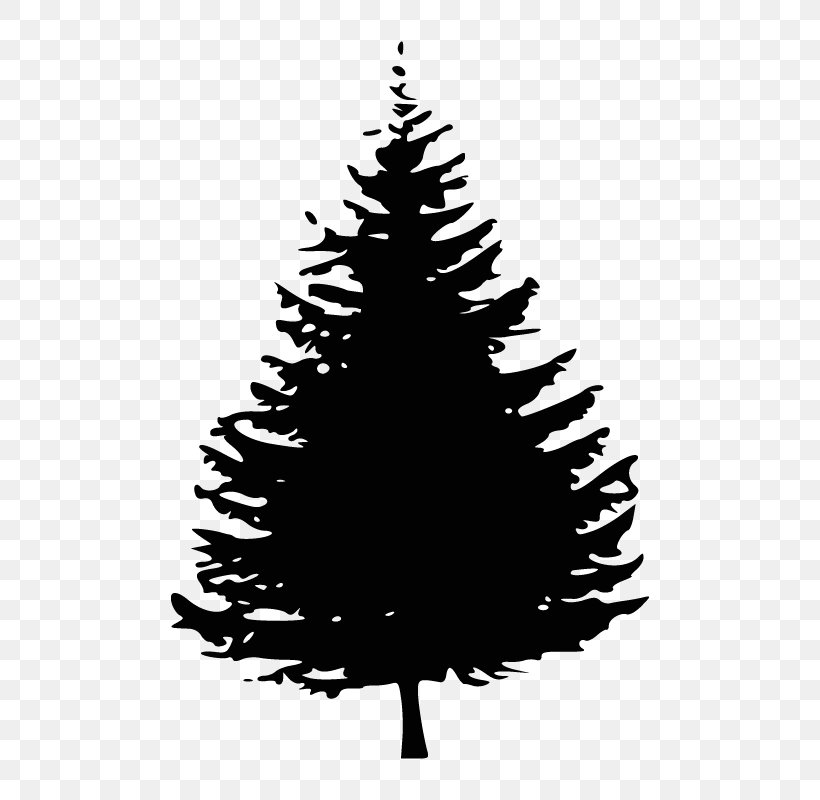 Clip Art Vector Graphics Free Content Image, PNG, 800x800px, Silhouette, American Larch, Balsam Fir, Blackandwhite, Christmas Decoration Download Free