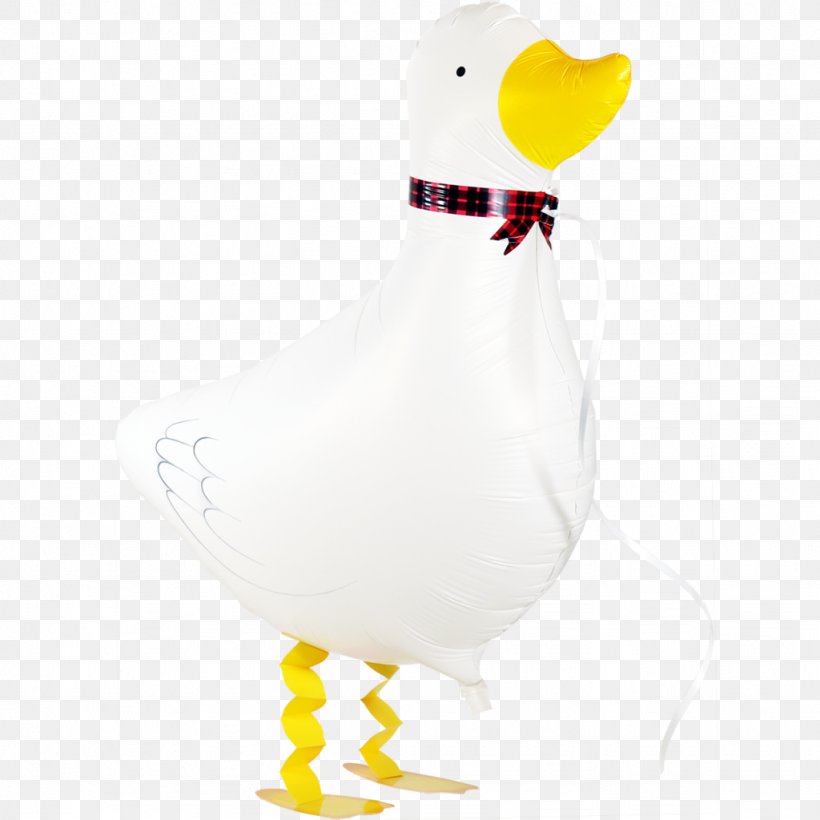 Duck Water Bird Chicken Goose, PNG, 1024x1024px, Duck, Anatidae, Animal, Balloon, Beak Download Free