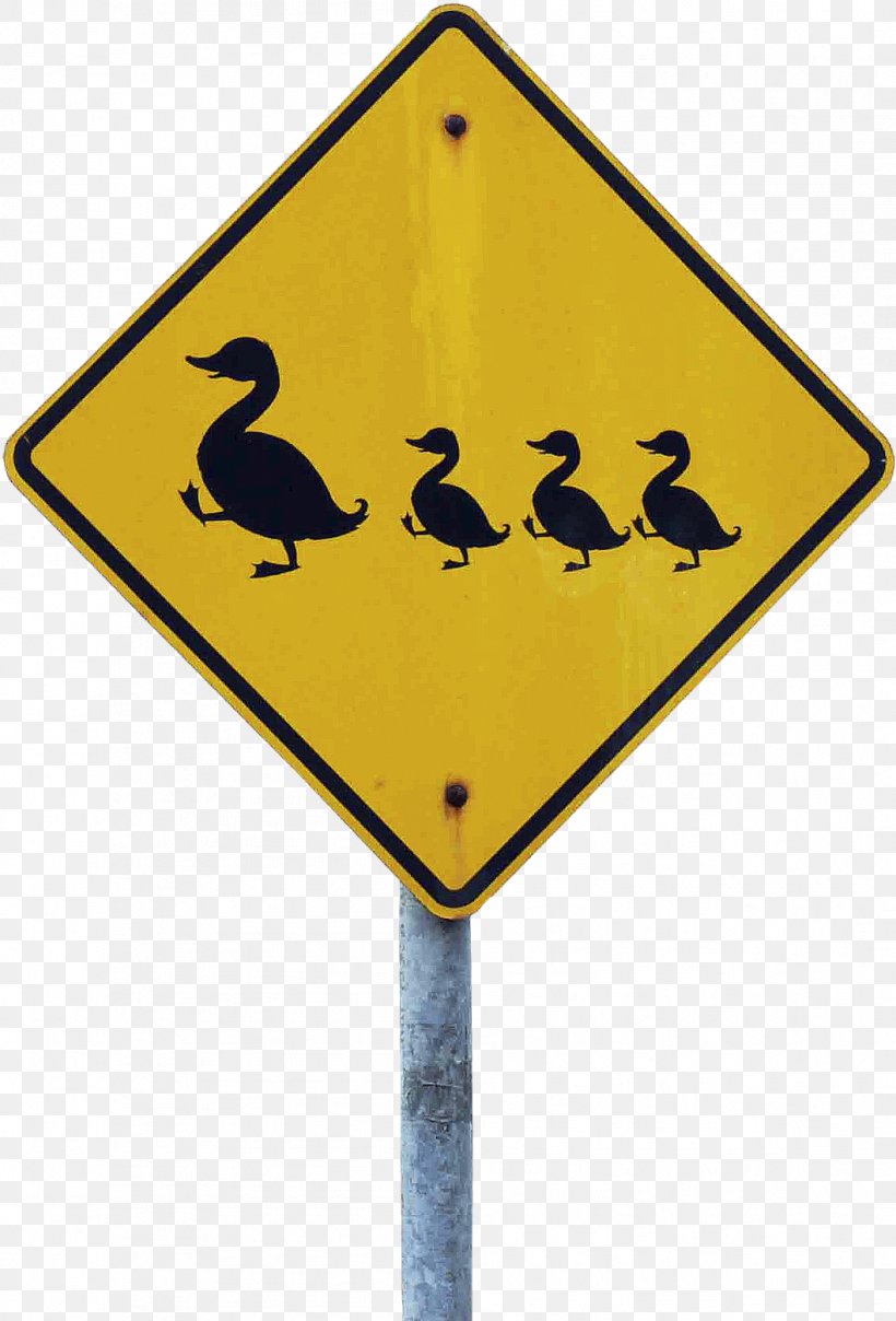 Street Sign, PNG, 1058x1559px, Traffic Sign, Beak, Bird, Flightless Bird, Road Download Free