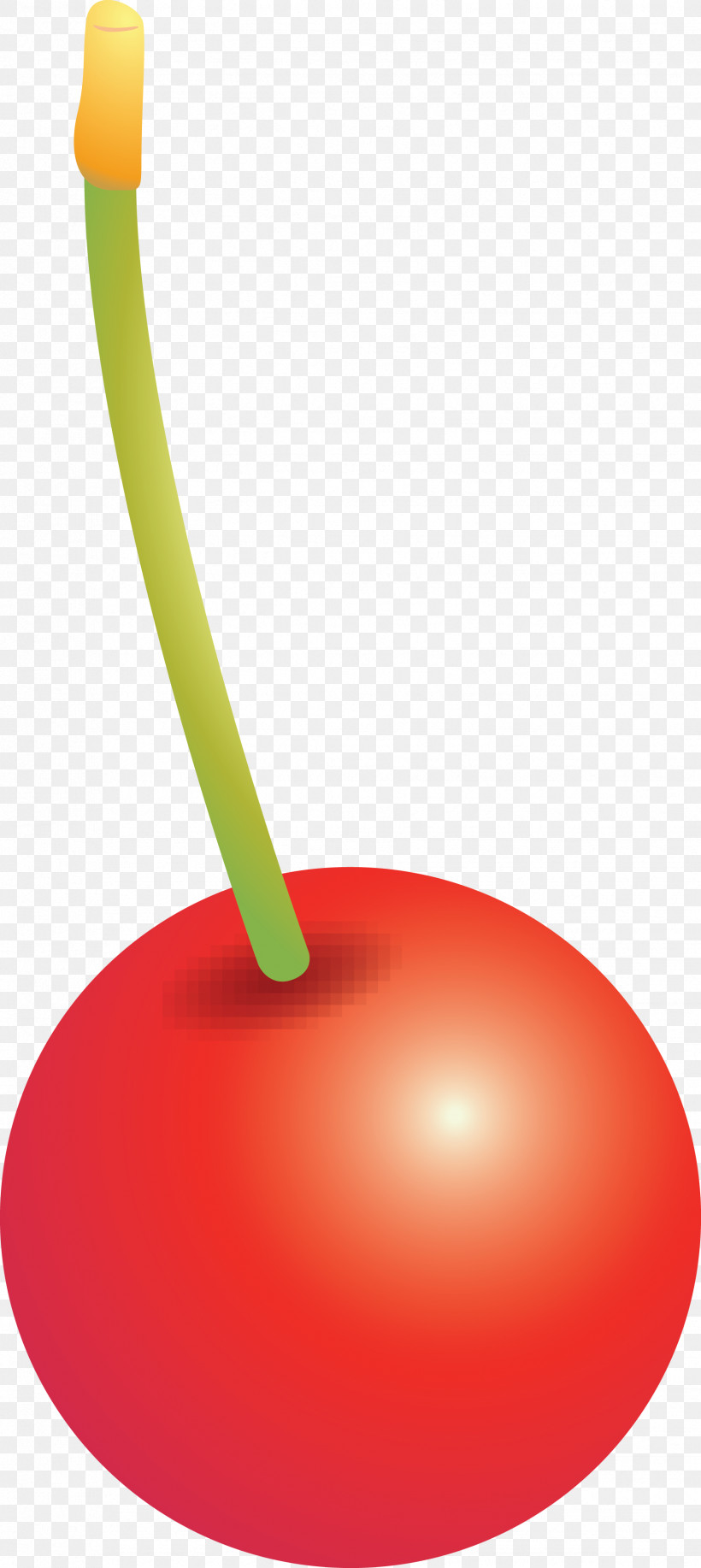 Cherry, PNG, 1734x3879px, Cherry, Drupe, Plant Download Free