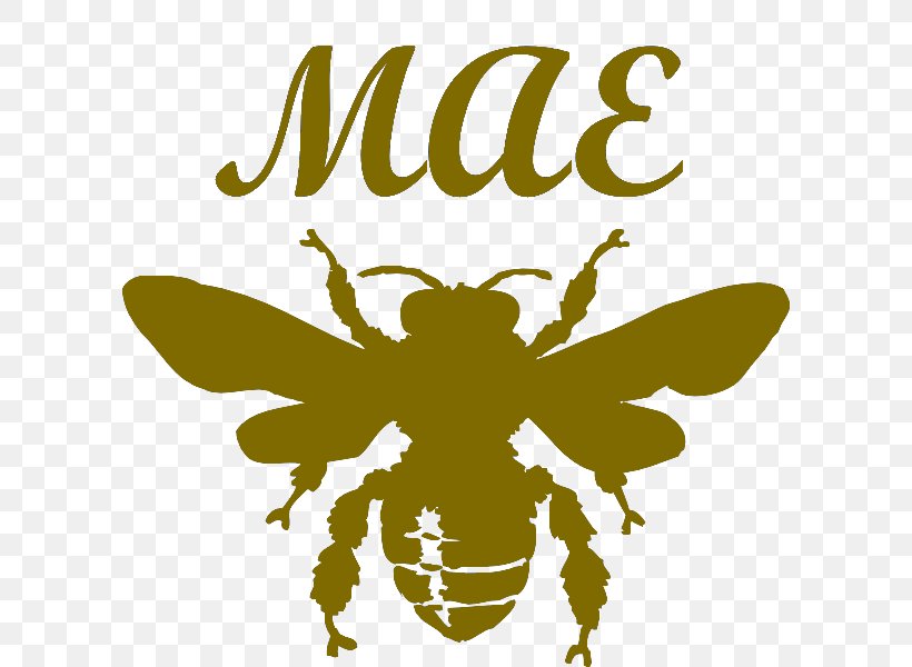 European Dark Bee Queen Bee Honey Bee Clip Art, PNG, 800x600px, Bee, Arthropod, Beehive, Brand, Bumblebee Download Free