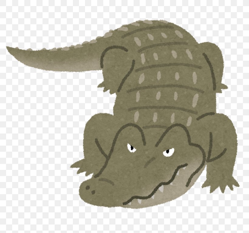 Florida Person 体長 Child Crocodiles, PNG, 800x768px, Florida, Child, Crocodiles, Crocodilia, Organism Download Free