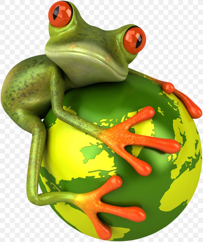 Frog Desktop Wallpaper Clip Art, PNG, 2262x2696px, Frog, Amphibian, Animation, Display Resolution, Drawing Download Free