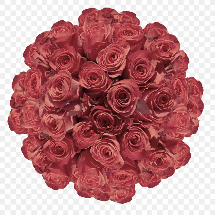 Garden Roses, PNG, 1000x1000px, Garden Roses, Artificial Flower, Cabbage Rose, Cut Flowers, Floral Design Download Free