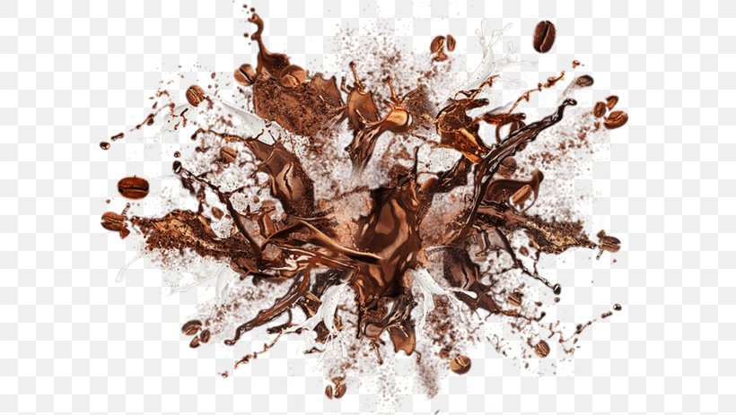 Instant Coffee Cafe Drink Espresso, PNG, 600x463px, Coffee, Branch, Cafe, Caffeine, Coffee Bean Download Free