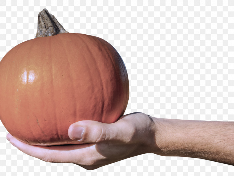 Pumpkin, PNG, 1024x768px, Pumpkin, Calabaza, Finger, Food, Fruit Download Free