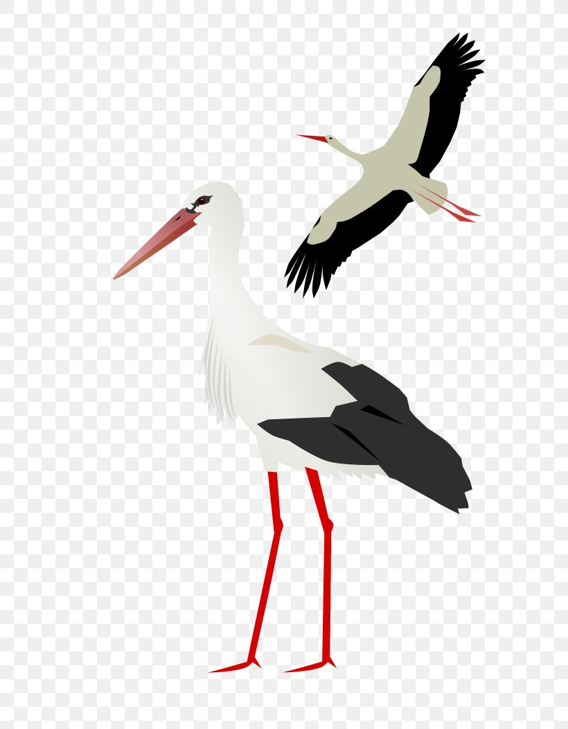 White Stork Clip Art, PNG, 744x1052px, White Stork, Beak, Bird, Black Stork, Ciconia Download Free