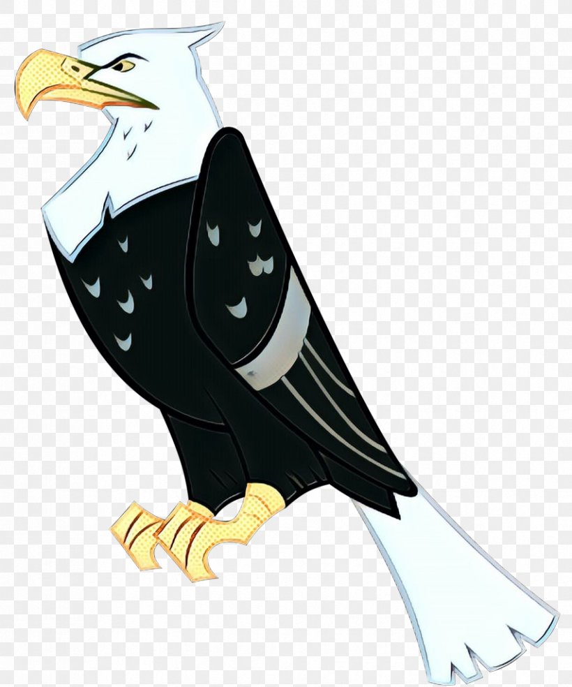 Bird Bald Eagle Eagle Bird Of Prey Beak, PNG, 853x1024px, Pop Art, Accipitridae, Bald Eagle, Beak, Bird Download Free