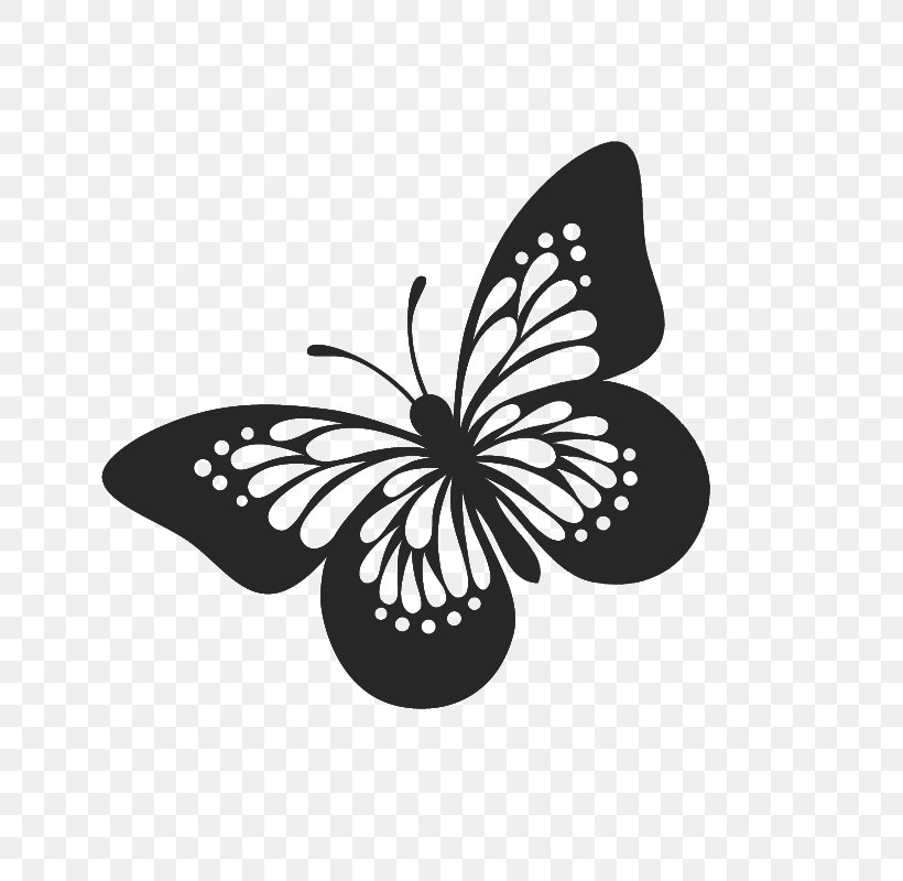 Butterfly Clip Art Vector Graphics Free Content, PNG, 800x800px, Butterfly, Blackandwhite, Brushfooted Butterflies, Brushfooted Butterfly, Drawing Download Free