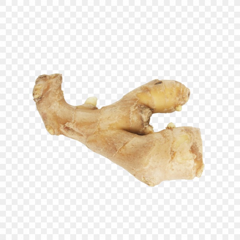 China Ginger Software Download, PNG, 2268x2268px, Ginger, Arm, Braising, Finger, Food Download Free