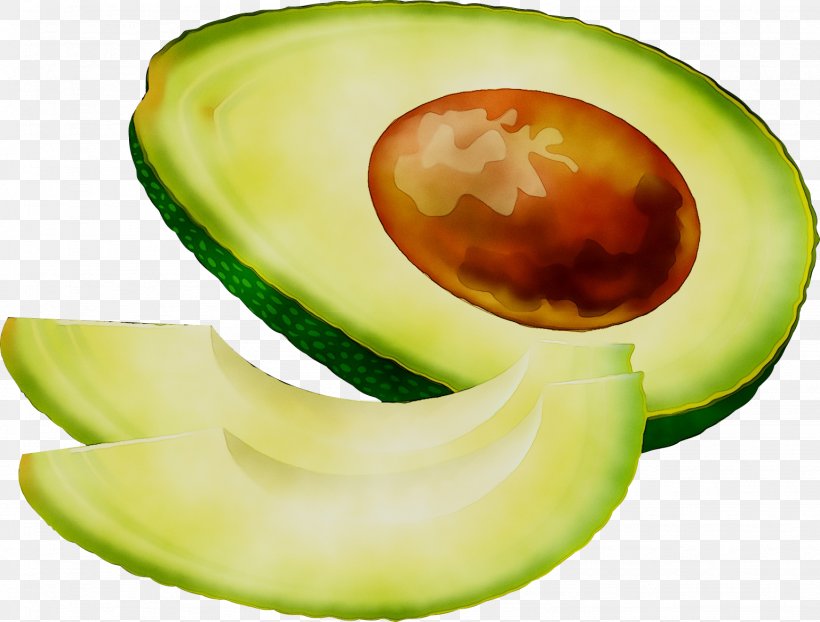 Clip Art Avocado Openclipart Vector Graphics, PNG, 1537x1167px, Avocado, Animation, Cartoon, Cucumber, Cucumis Download Free
