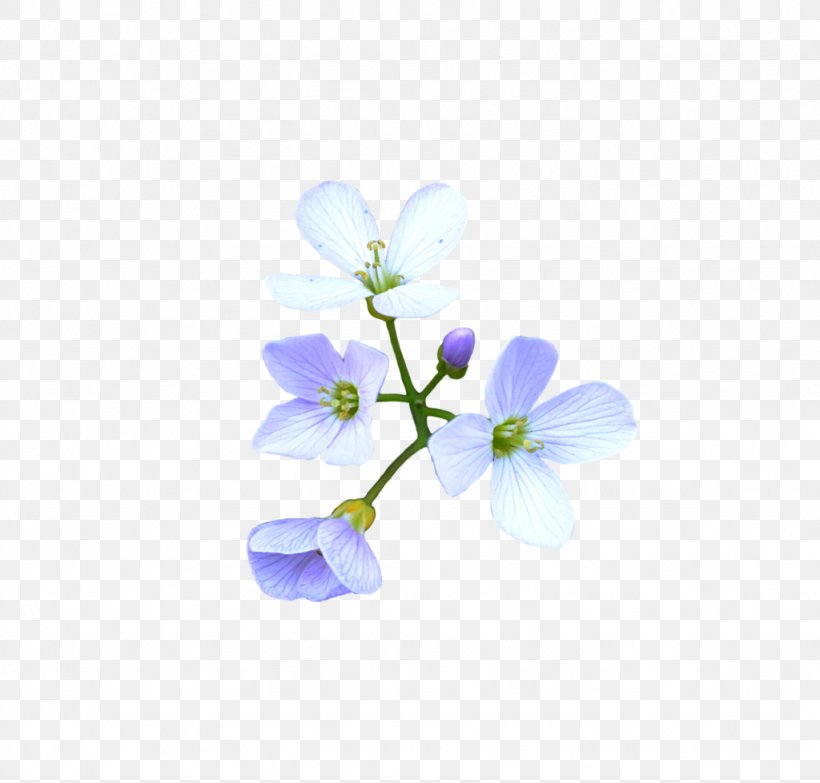 Flower Blue DeviantArt, PNG, 1024x979px, Flower, Blossom, Blue, Branch, Cherry Blossom Download Free