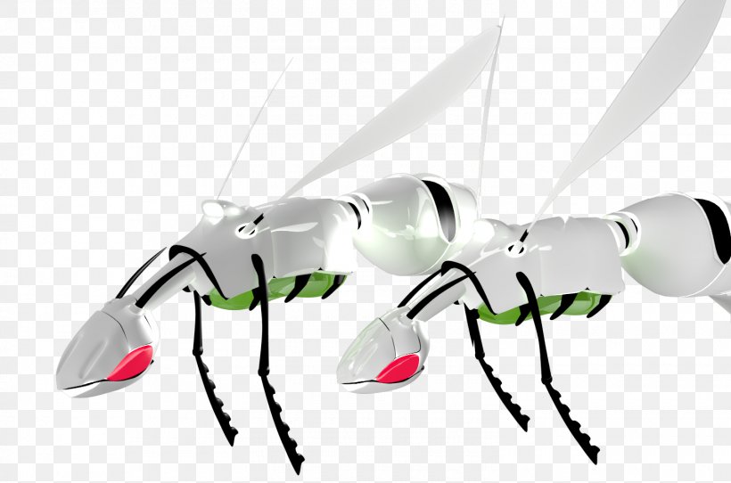 Insect Decapoda Clip Art, PNG, 1500x992px, Insect, Decapoda, Invertebrate, Membrane Winged Insect, Pest Download Free