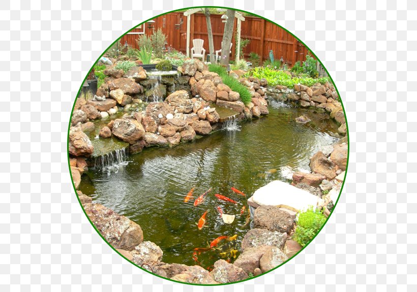 Koi Body Of Water Fish Pond Garden, PNG, 575x575px, Koi, Body Of Water, Fish, Fish Pond, Garden Download Free