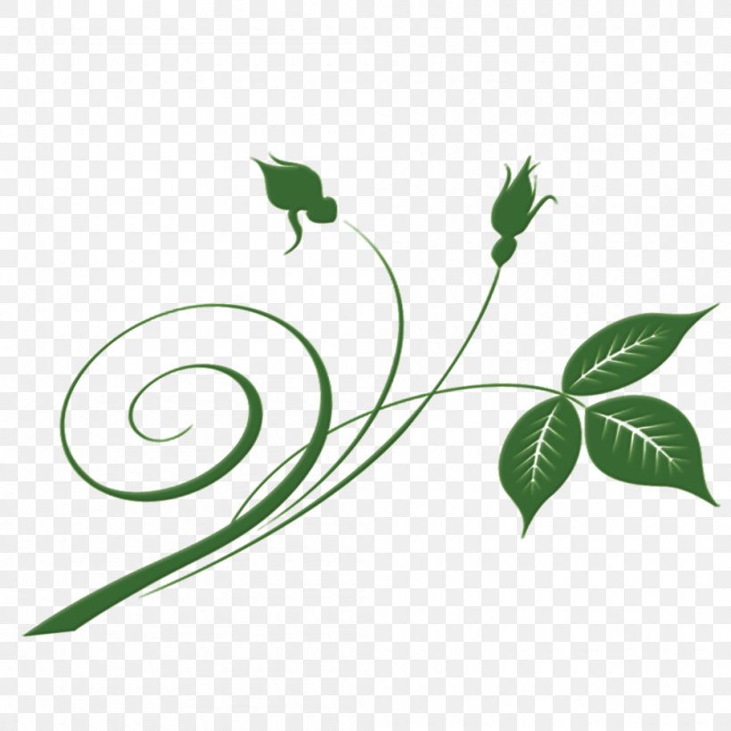 Leaf Green, PNG, 1000x1000px, Leaf, Branch, Emerald, Flora, Floral Design Download Free