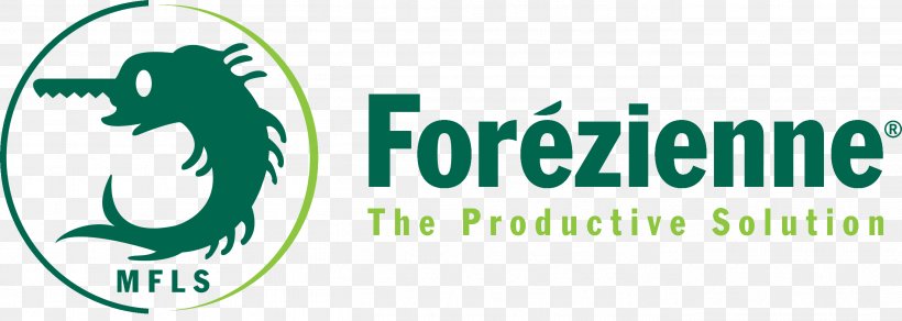 Logo Brand FOREZIENNE MFLS Trademark, PNG, 2715x969px, Logo, Area, Brand, Grass, Green Download Free