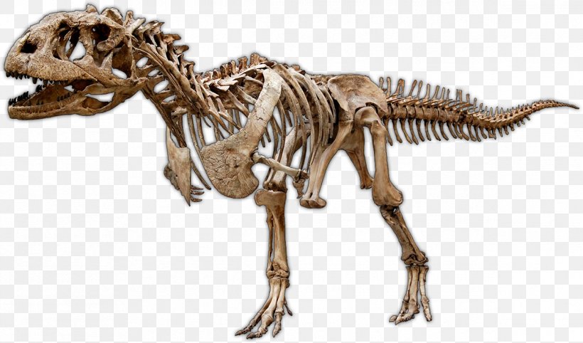 Majungasaurus Late Cretaceous Dinosaur Tyrannosaurus Madagascar, PNG, 1191x701px, Majungasaurus, Abelisauridae, Animal Figure, Carcharodontosaurus, Cretaceous Download Free