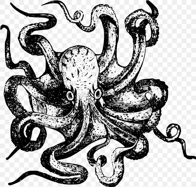 Octopus Canvas Print Drawing Printmaking Art, PNG, 1200x1145px, Octopus, Art, Artist, Blackandwhite, Canvas Download Free