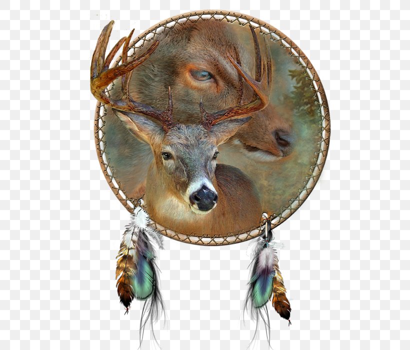 Oil Painting Art Deer Dreamcatcher, PNG, 574x700px, Painting, Art, Deer, Drawing, Dreamcatcher Download Free