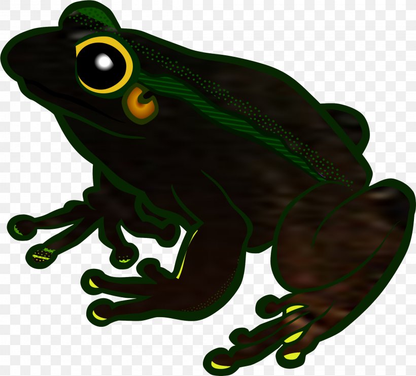 Pepe The Frog, PNG, 2247x2032px, Frog, Agalychnis, Amphibians, Bufo, Bullfrog Download Free