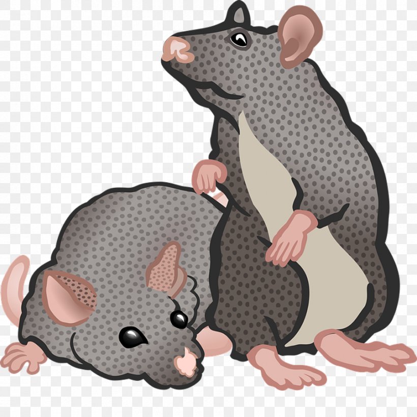 Computer Mouse Rodent Black Rat Clip Art, PNG, 900x900px, Mouse, Armadillo, Black Rat, Carnivoran, Cingulata Download Free