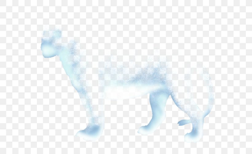 Dog Canidae Snout Nose Carnivora, PNG, 640x500px, Dog, Animal, Blue, Canidae, Carnivora Download Free