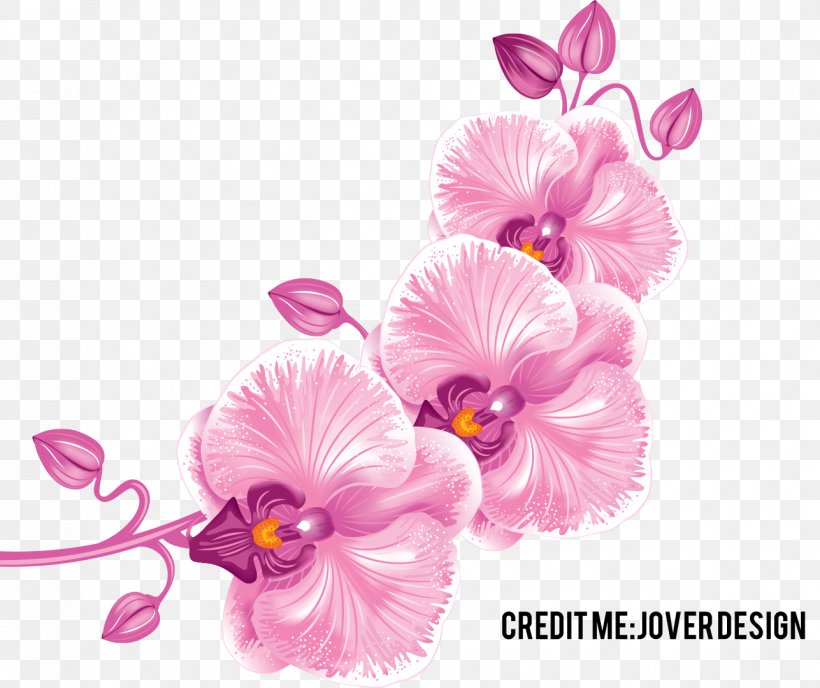 Orchids Orchidea Desktop Wallpaper Flower Clip Art, PNG, 1287x1080px, Orchids, Boat Orchid, Cut Flowers, Floral Design, Flower Download Free