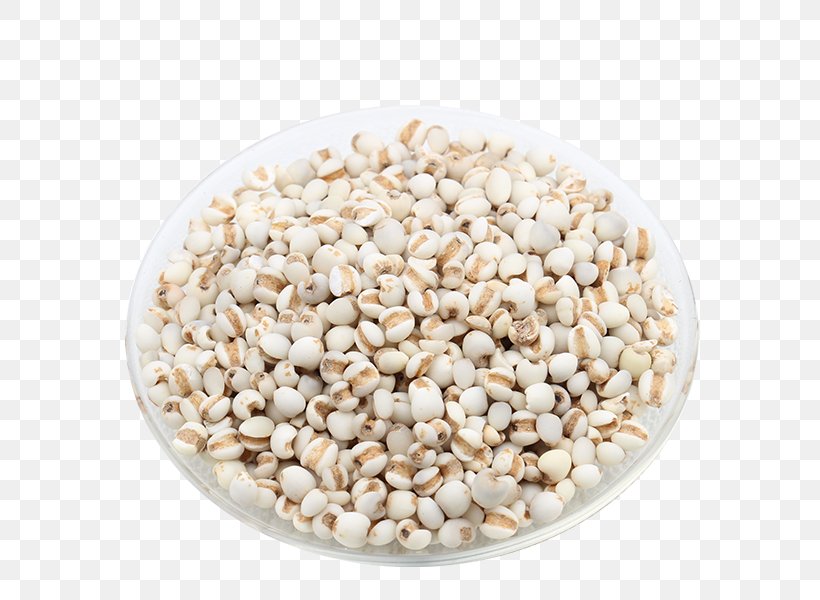 Barley Rice Bowl Tazxf3n, PNG, 600x600px, Barley, Bowl, Caryopsis, Cereal, Coix Lacrymajobi Download Free