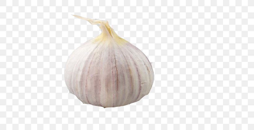 Elephant Garlic, PNG, 600x420px, Elephant Garlic, Food, Garlic, Ingredient, Onion Download Free