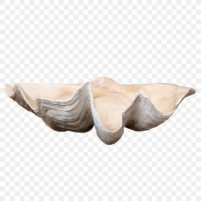 Giant Clam Mollusc Shell Seashell Sales, PNG, 1536x1536px, 1stdibscom Inc, Giant Clam, Antique, California, Clam Download Free