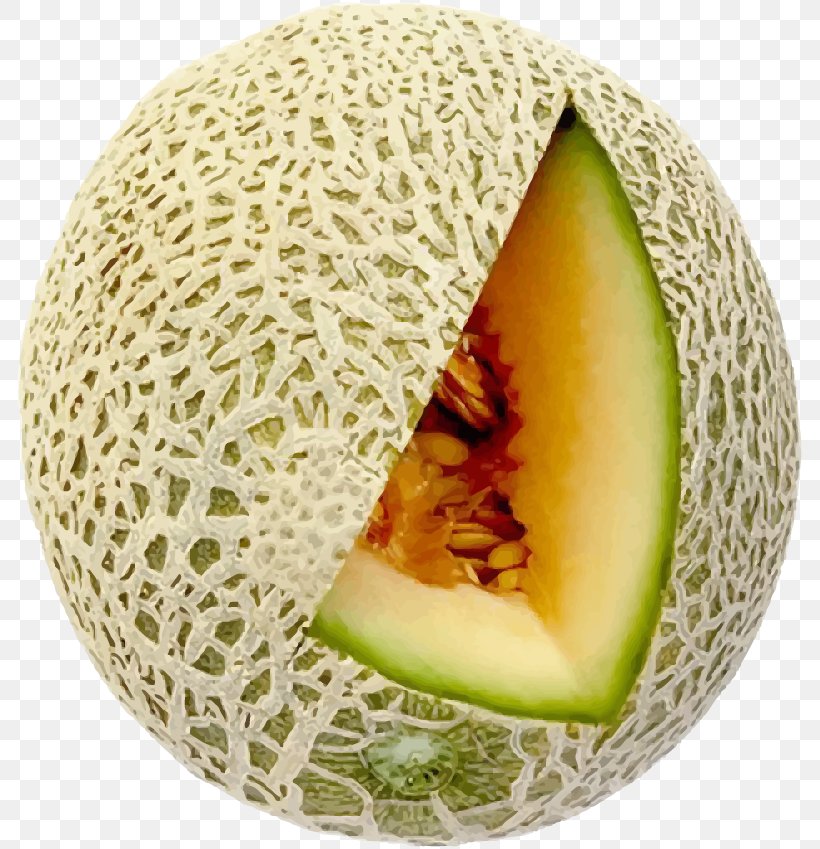 Honeydew Cantaloupe Hami Melon Galia Melon Fruit, PNG, 789x849px, Honeydew, Auglis, Cantaloupe, Cucumber Gourd And Melon Family, Cucumis Download Free