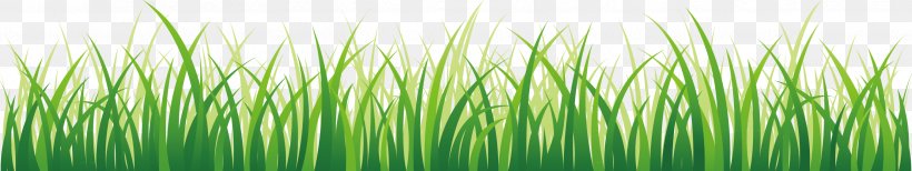 Lawn Green Wallpaper, PNG, 2701x508px, Lawn, Bamboo, Chrysopogon Zizanioides, Commodity, Computer Download Free