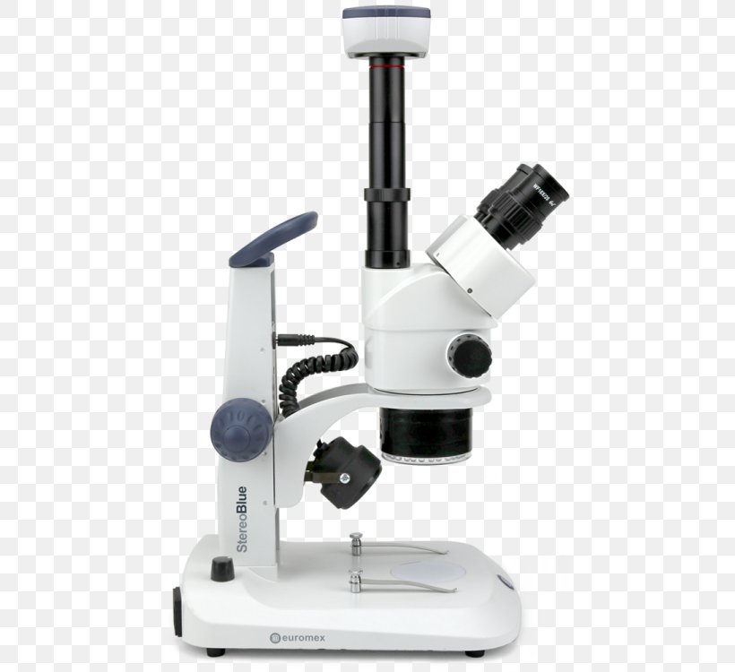 Stereo Microscope Microscopy Optical Microscope Digital Microscope, PNG, 563x750px, Microscope, Binoculair, Camera, Digital Microscope, Eyepiece Download Free