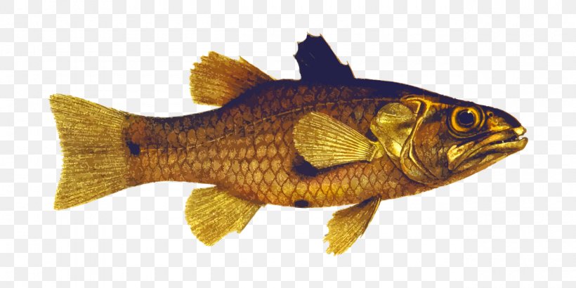Banggai Cardinalfish Freshwater Fish Clip Art, PNG, 1280x640px, Fish, Animal Figure, Banggai Cardinalfish, Bony Fish, Carp Download Free