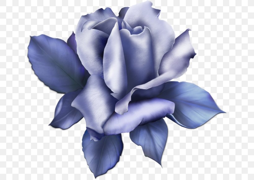 Blue Rose Garden Roses Clip Art, PNG, 650x580px, Blue Rose, Beach Rose, Blue, Comparazione Di File Grafici, Cut Flowers Download Free