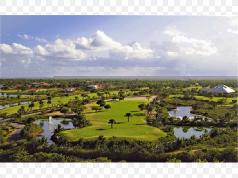 Cocotal Golf And Country Club Paradisus Punta Cana Resort. The Reserve At Paradisus Punta Cana Resort Golf Course All-inclusive Resort, PNG, 1024x768px, Golf Course, Allinclusive Resort, Bavaro, Bed And Breakfast, Dominican Republic Download Free