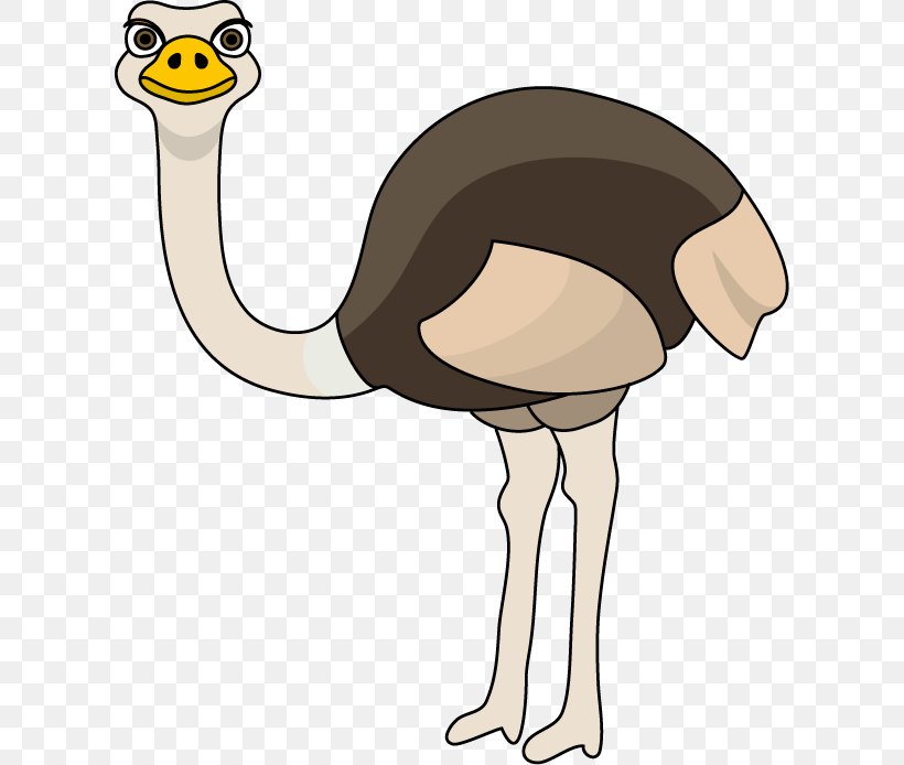 Common Ostrich Clip Art, PNG, 612x694px, Common Ostrich, Beak, Bird, Blog, Copyright Download Free