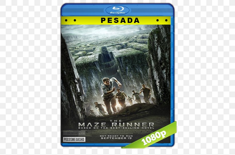 Maze Runner Painting Film Poster, PNG, 542x542px, Maze Runner, Action Figure, Film, Film Director, Film Poster Download Free