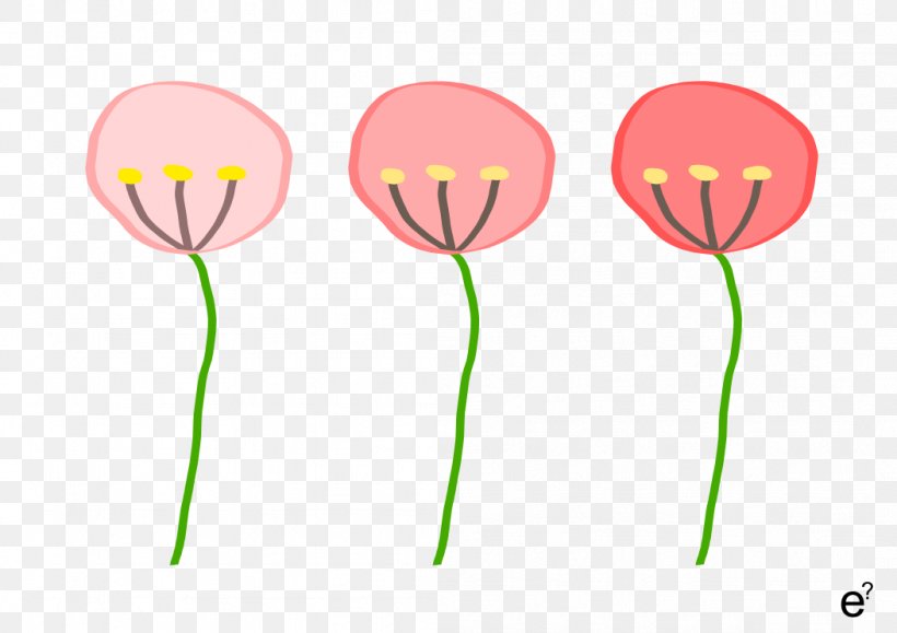 Pink M Balloon Flowering Plant Plant Stem Clip Art, PNG, 1052x744px, Pink M, Balloon, Flower, Flowering Plant, Petal Download Free