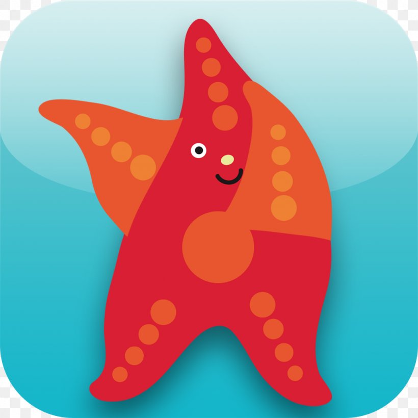 Starfish Echinoderm Marine Biology Clip Art, PNG, 1024x1024px, Starfish, Biology, Echinoderm, Fish, Invertebrate Download Free