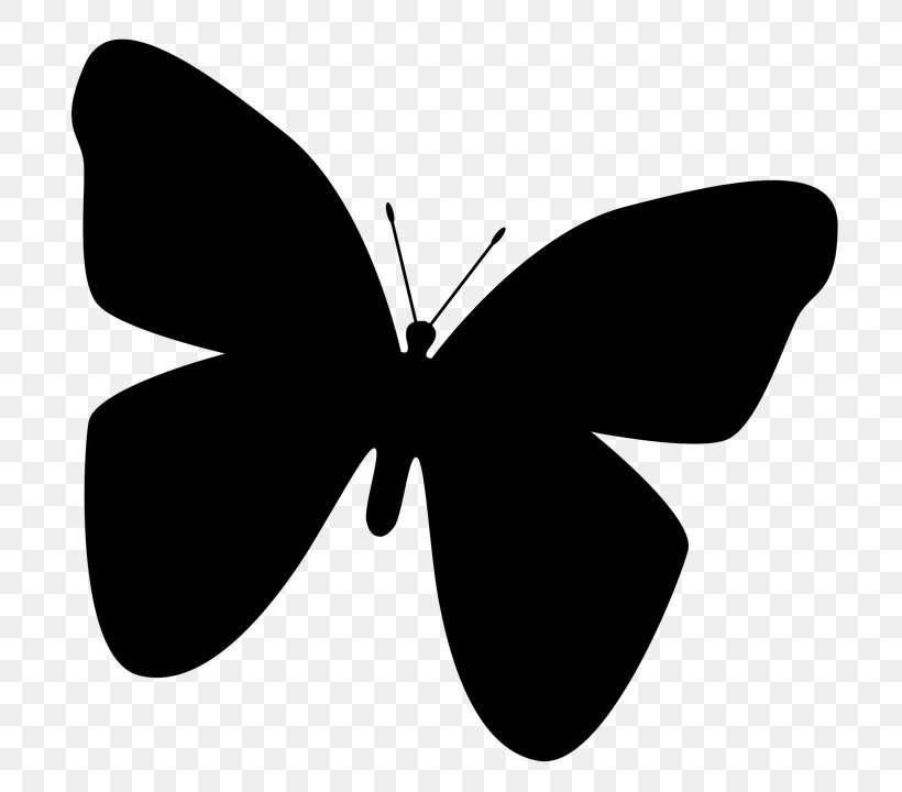 Butterfly Ping Pong, PNG, 720x720px, Butterfly, Art, Arthropod, Black, Black And White Download Free