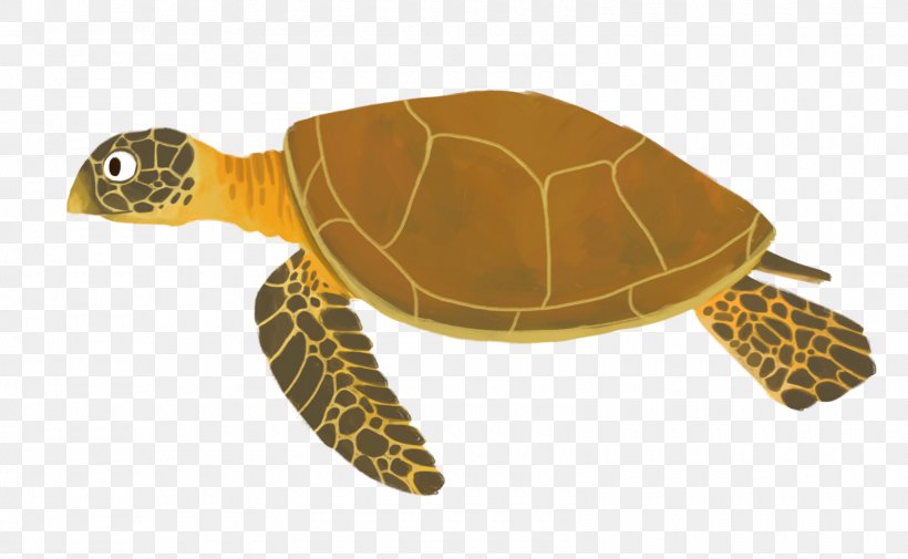 Loggerhead Sea Turtle Reptile Box Turtles, PNG, 1600x986px, Loggerhead Sea  Turtle, Animated Cartoon, Animated Film, Box