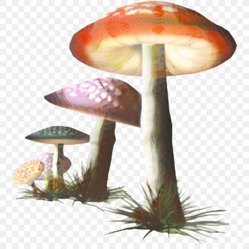Mushroom Cartoon, PNG, 1024x1024px, Agaricaceae, Agaric, Agaricomycetes, Agaricus, Bolete Download Free