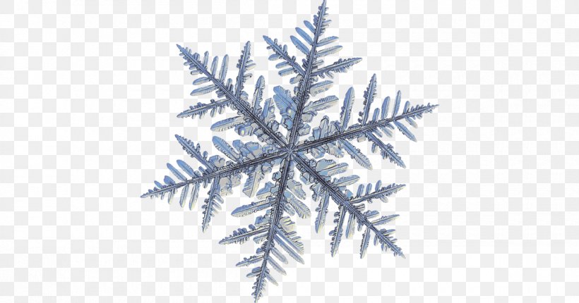 Snowflake Dendrite Crystal Macro Photography, PNG, 1200x630px, Snowflake, Branch, Conifer, Crystal, Dendrite Download Free