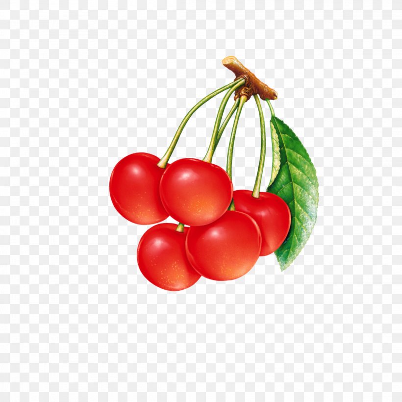 Cherries Sour Cherry Jam Food Clip Art, PNG, 2289x2289px, Cherries, Beer, Berries, Berry, Bush Tomato Download Free