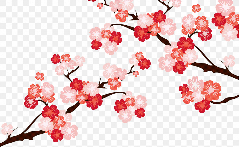 Cherry Blossom, PNG, 1668x1029px, Flower, Blossom, Branch, Cherry Blossom, Pink Download Free