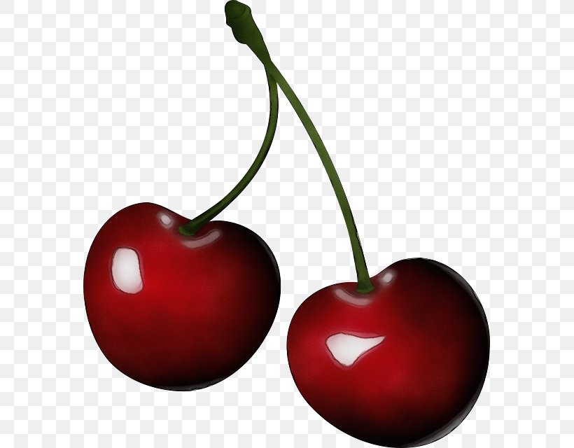 Cherry Fruit Red Plant Food, PNG, 581x640px, Watercolor, Cherry, Drupe, Flowering Plant, Food Download Free